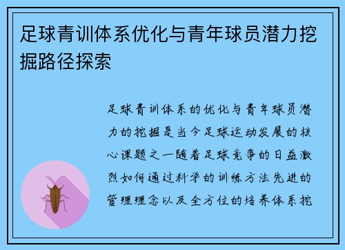 足球青训体系优化与青年球员潜力挖掘路径探索