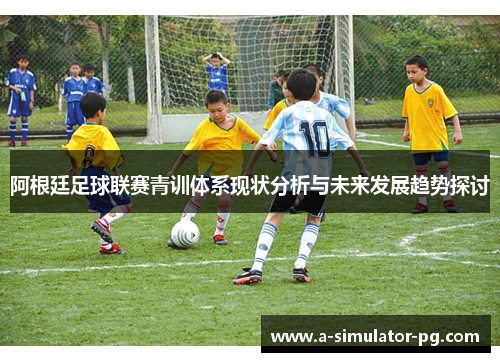 阿根廷足球联赛青训体系现状分析与未来发展趋势探讨