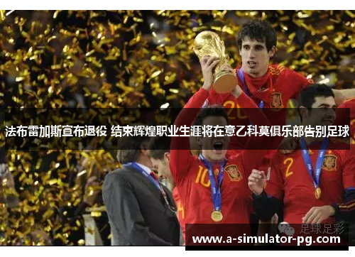 法布雷加斯宣布退役 结束辉煌职业生涯将在意乙科莫俱乐部告别足球