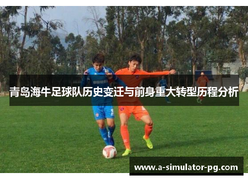 青岛海牛足球队历史变迁与前身重大转型历程分析
